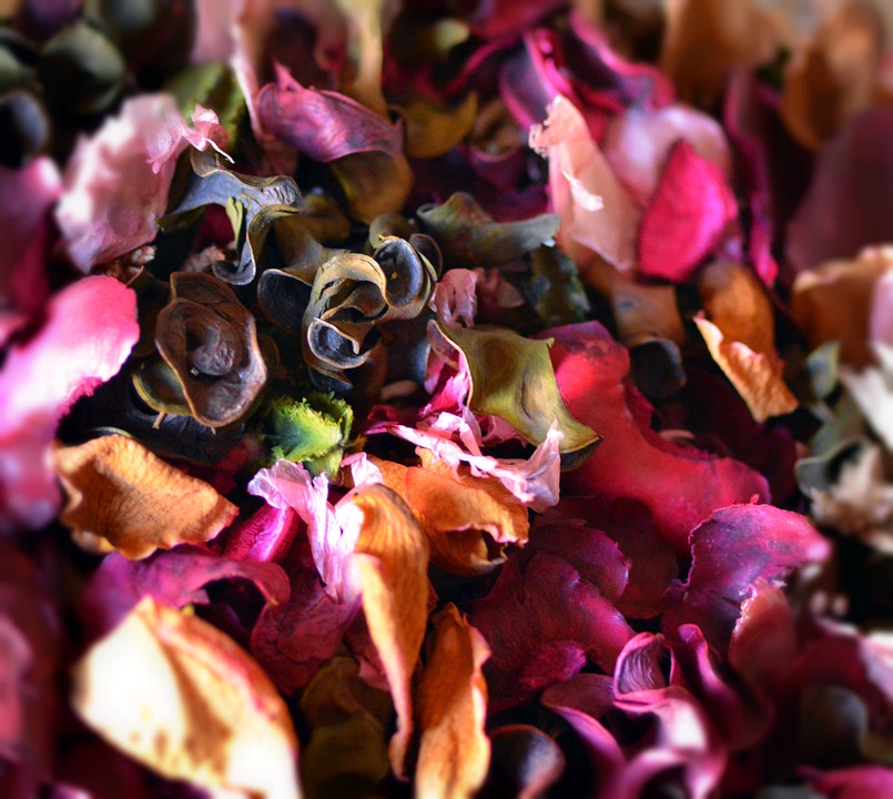 potpourri