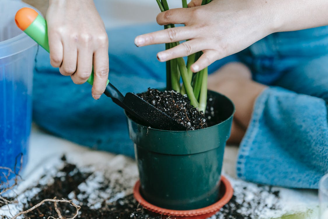 4 Tips to Make Your Own Fertilizer