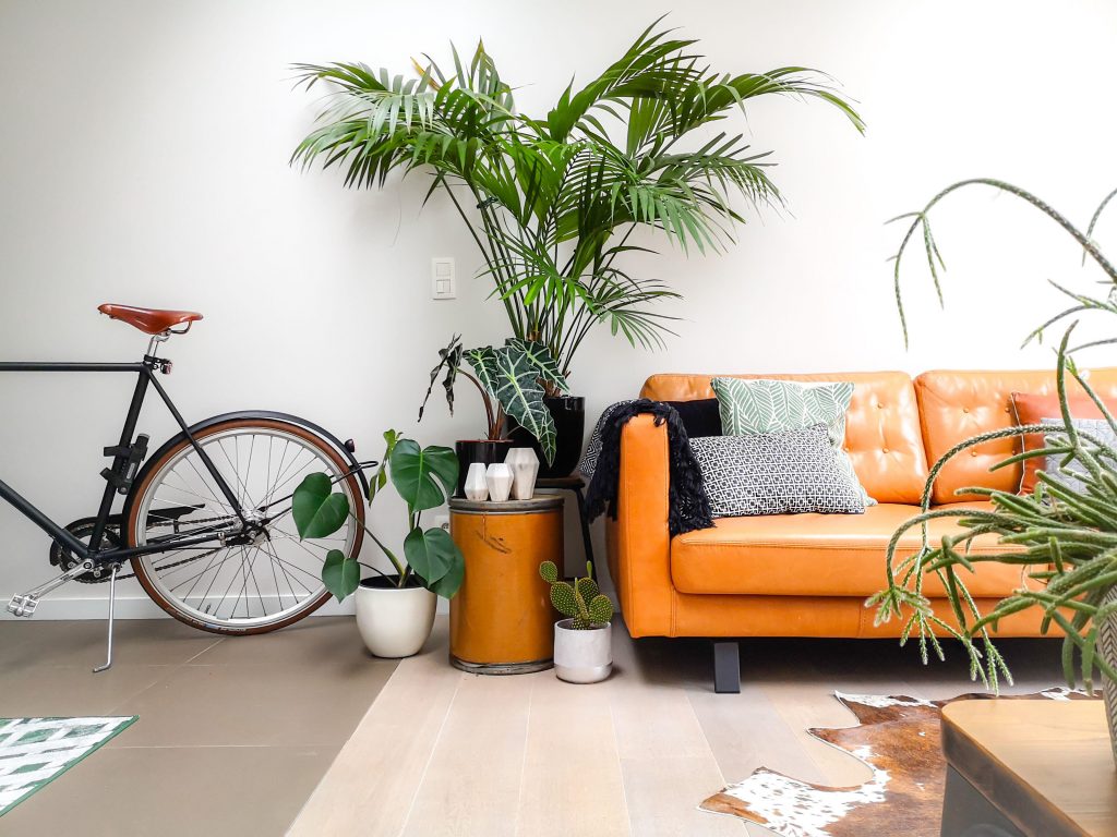 How to Display Plants Indoor? (DIY Projects)