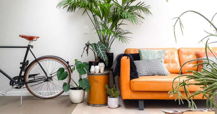 How to Display Plants Indoor? (DIY Projects)