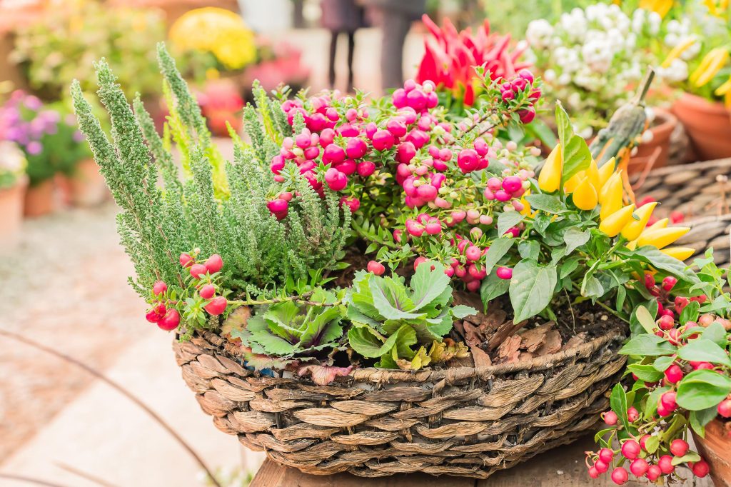 DIY Decorating Ideas Using Baskets: Adding Charm and Functionality to Your Home