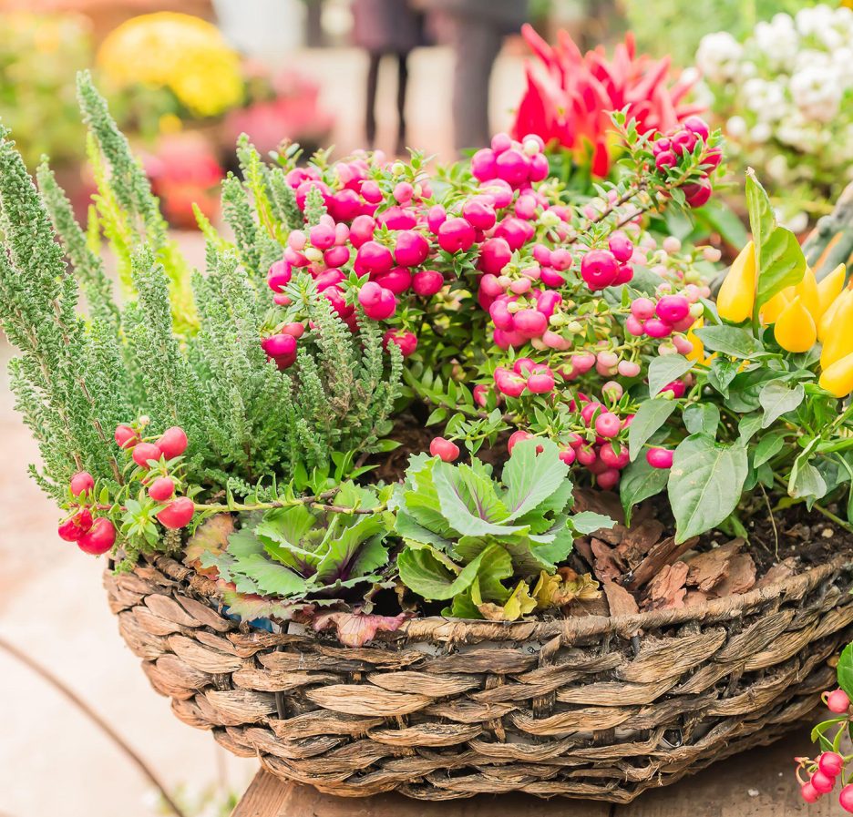 DIY Decorating Ideas Using Baskets: Adding Charm and Functionality to Your Home
