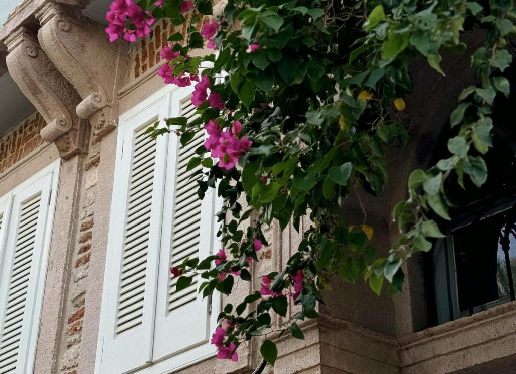shutter-model