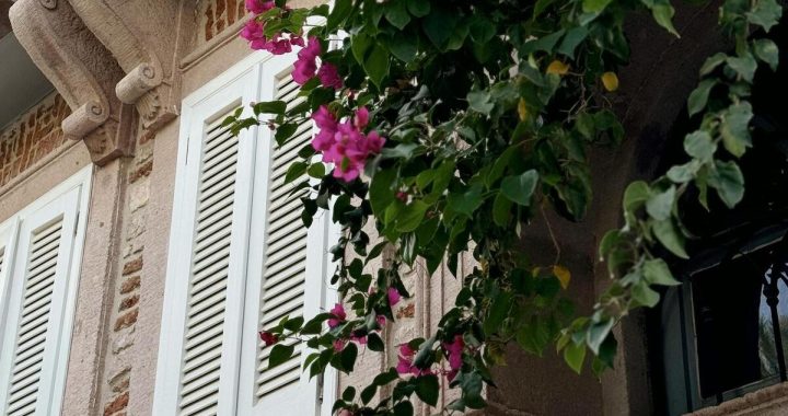 shutter-model